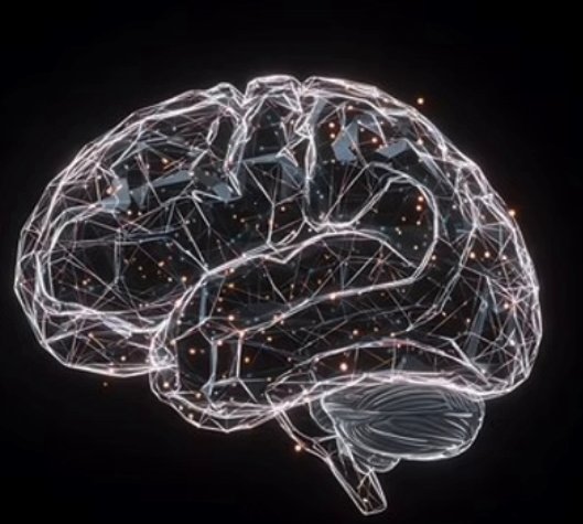 Wireframe illustration of a glowing human brain